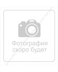 Марго – наш старожил на конюшне